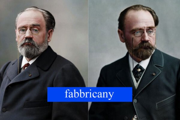Émile Zola Net worth